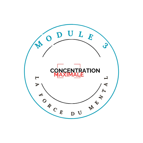 module 3 concentration